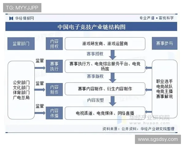 《2025全球电竞赛事发展趋势分析 电竞产业迎来新机遇与挑战》 《2025全球电竞赛事发展趋势分析 电竞产业迎来新机遇与挑战》