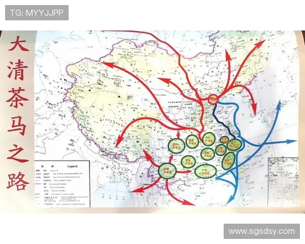 谢菲尔德星期三俱乐部的辉煌历史与未来发展展望分析 谢菲尔德星期三俱乐部的辉煌历史与未来发展展望分析